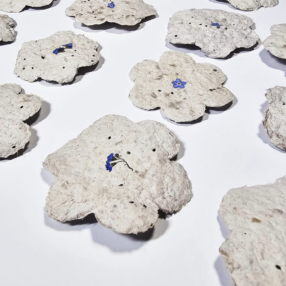 💚Free Forget-Me-Not Flower Plantable Seed Paper💜